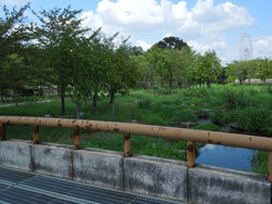 香流川砂防公園